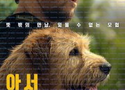 아서 Arthur the King (2024) [SDR] DS4K 1080p BDRip [Hin-Eng] DDP 5.1 — PeruGuy