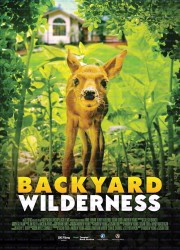 뒷뜰 야생 탐험.Backyard Wilderness (2018) [1080p] [WEBRip] [5.1] [YTS.MX]