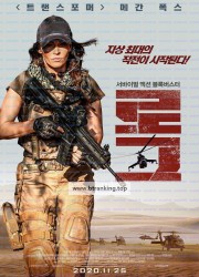 로그 Rogue, 2020.1080p.KORSUB.WEBRip.H264.AAC.torrent