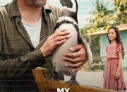 나의 펭귄 친구, 딘딤 My Penguin Friend 2024 1080p AMZN WEB-DL DDP5 1 H 264-FLUX